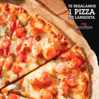 Red Lobster El spot ideal para comer langosta