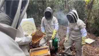 Noticias Belleza | Tío Nacho protege a más de un millón de abejas
