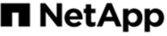 Noticias Ciberseguridad | NetApp Logo