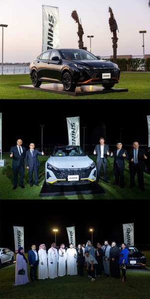 DONGFENG SHINE DONGFENG SHINE