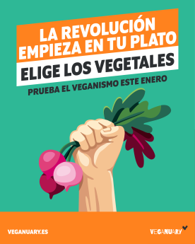 Noticias Industria Alimentaria | Enero Vegano