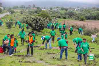 Noticias Solidaridad y cooperación | Iberdrola México planta 8,000