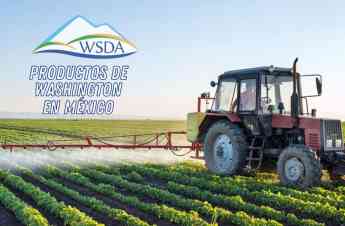 Noticias Internacional | WSDA