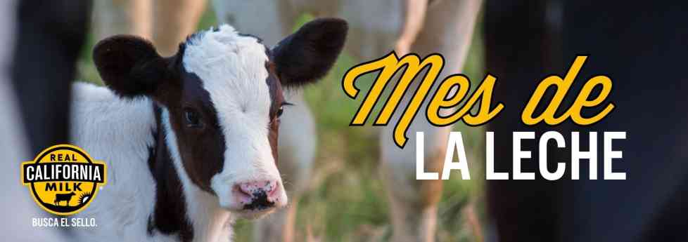 Real California Milk celebra el Mes Internacional de la Leche con sabor, salud e historia 