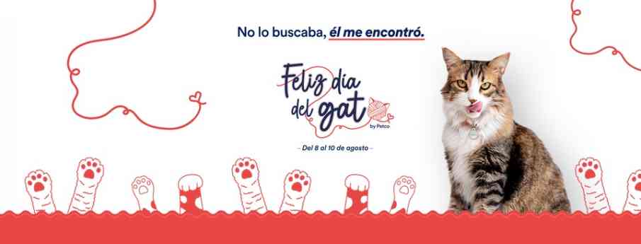 Día Internacional del Gato: PETCO reafirma su compromiso con el bienestar y el cuidado de los felinos