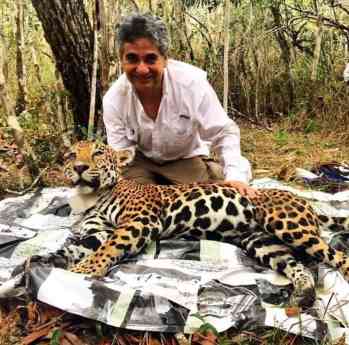El jaguar mexicano: un símbolo de éxito en conservación del Dr. Gerardo Ceballos El jaguar mexicano: un símbolo de éxito en conservación del Dr. Gerardo Ceballos