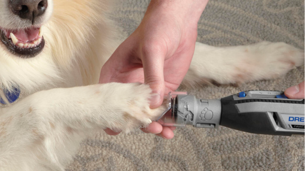 Bosch: la tecnología puede prevenir el dolor de las mascotas