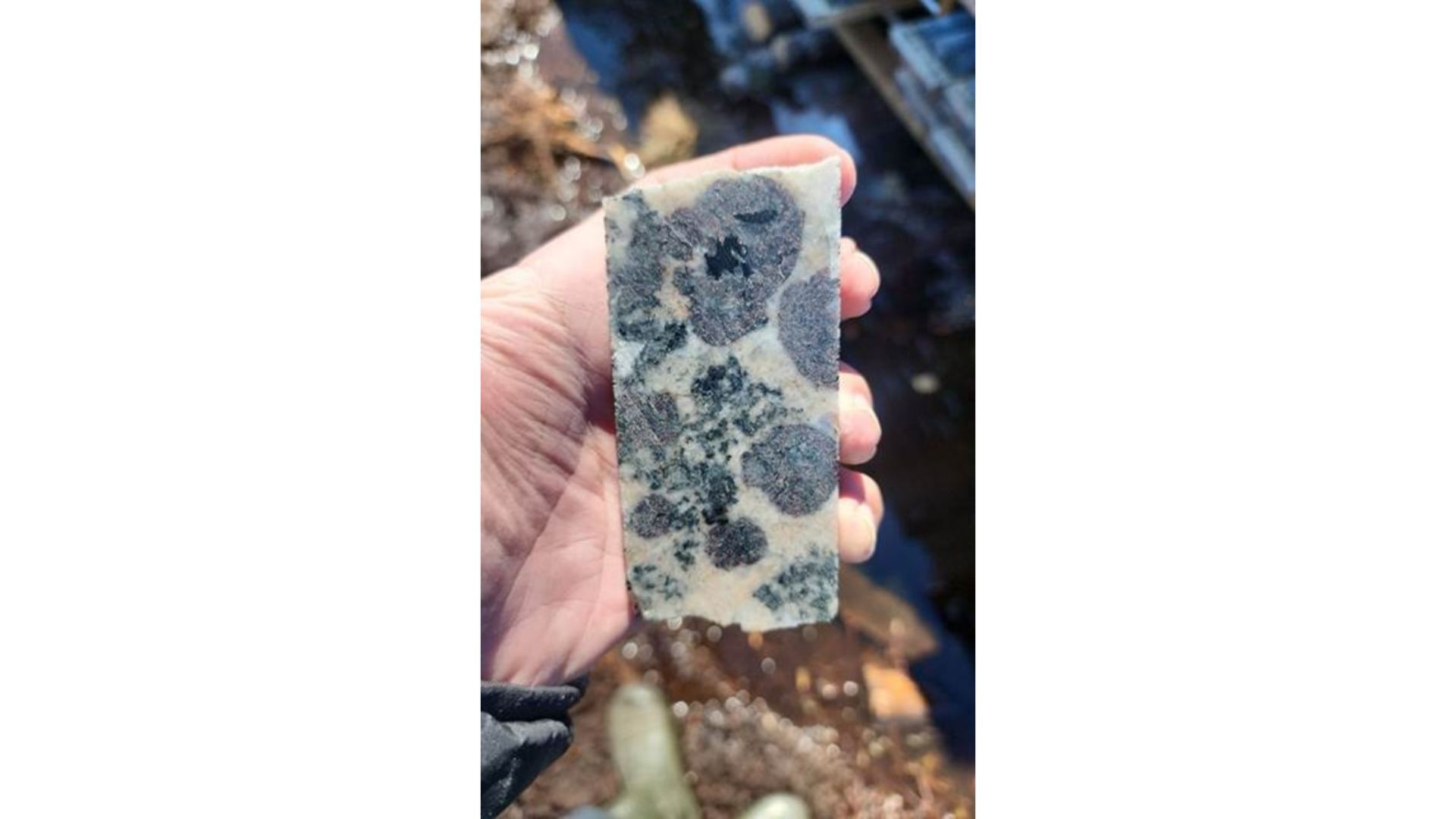 Descoberta de minerais da Juno se expande para incluir metais magnéticos de terras raras pesadas