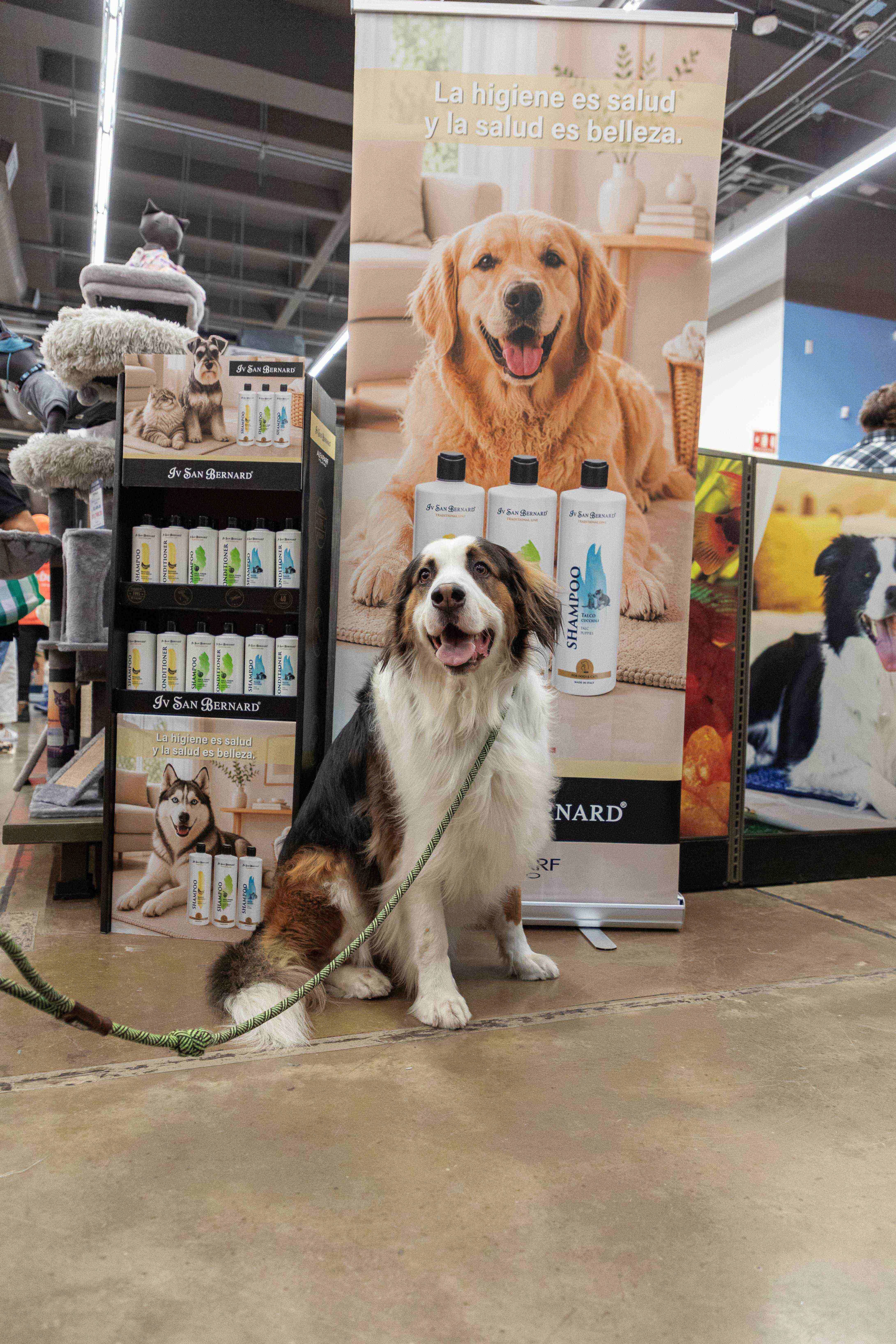 Petco impulsa el segmento premium con marcas especializadas para el bienestar de las mascotas